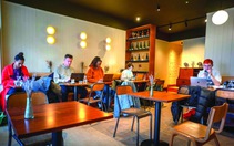 Bốn bể là nhà, quán cà phê là công sở