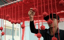 Chúng tôi sáng tạo dựa trên thiên nhiên, nhuộm vải từ thực vật, dệt vải từ vi khuẩn
