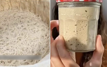 Nuôi men nở làm 'thú cưng' đang nở rộ: Cũng lạ lắm à nghen!