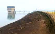 Để xảy ra thả cá tự phát trong hồ Kẻ Gỗ, bên quản lý bị yêu cầu kiểm điểm