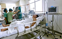 Phát hiện heo nghi bị bệnh tại lò mổ giữa lúc Huế đang ‘căng mình’ chống bệnh liên cầu lợn