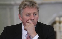Điện Kremlin chỉ trích kế hoạch điều quân tới Ukraine của ông Macron