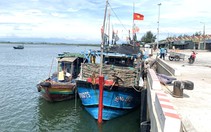 Hai thuyền trưởng tàu cá ở Quảng Ngãi bị phạt hành chính 125 triệu đồng