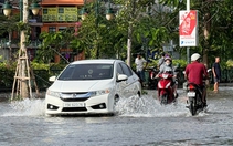'Lái xe trong mưa bão không phải chuyện kinh nghiệm, mà là sinh tồn'