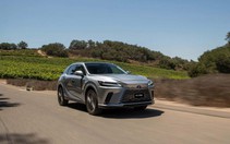 Lexus Việt Nam ra mắt thêm 2 phiên bản RX hybrid