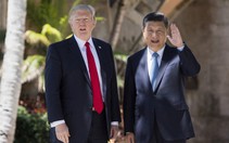 Ông Trump lên tiếng về 'hội nghị thượng đỉnh' với ông Tập