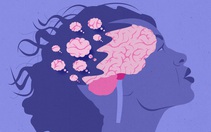Phát hiện cơ chế giúp não tự làm sạch, mở ra hy vọng chữa Alzheimer
