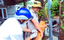 Ăn thịt chó dữ, năm người ở Đồng Nai phơi nhiễm bệnh dại