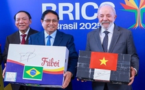 Việt Nam xuất khẩu cá tra, ba sa và rô phi sang Brazil, hướng tới thương hiệu cà phê chung