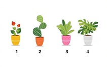 Quiz: Tuổi tinh thần của bạn già hay trẻ?