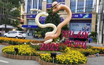 Cần Thơ dự kiến làm đường hoa nghệ thuật khoảng 6 tỉ đồng