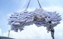 'Thần tốc' xuất khẩu gạo và xây dựng thương hiệu quốc gia để giữ vững vị trí thứ hai thế giới