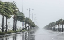 Biển Đông có thể đón thêm bão hoặc áp thấp nhiệt đới cuối tháng 8
