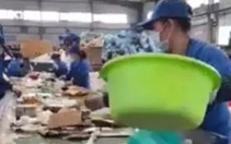 Thực hư video quay cảnh sản xuất thức ăn cho chó từ bìa carton?