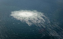 Ý bắt một người Ukraine nghi liên quan vụ nổ đường ống Nord Stream