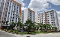 Cần Thơ công bố số điện thoại hỗ trợ cán bộ có nhu cầu mua nhà ở xã hội
