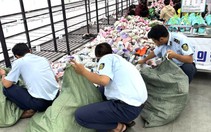 Hàng ngàn sản phẩm nghi giả mạo nhãn hiệu Crocs tại Nha Trang