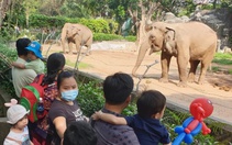 Vài vết muỗi đốt cũng đủ gây sốt xuất huyết, 5 mẹo đơn giản khi đi chơi, đi cắm trại cần biết