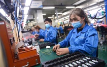 Chỉ số sản xuất công nghiệp chế biến - chế tạo ở TP.HCM tăng bứt phá
