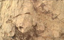 NASA phát hiện 'rùa' trên sao Hỏa