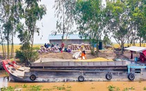 Cần liên kết để nâng cao giá trị hạt gạo Việt