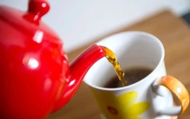 Món ngon cháo, trà hoa cúc trắng hỗ trợ người bệnh huyết áp, đau đầu