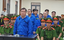 Phạt Hiếu 'xì po' 3 năm 6 tháng tù về tội tổ chức đá gà