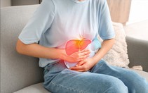 Người bệnh gan đối mặt rủi ro biến chứng khi mắc sốt xuất huyết Dengue