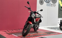 Yamaha PG-1 2025 vừa mở bán đã 'chênh giá' tại đại lý