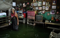 Miền Trung Philippines oằn mình dưới bão Bualoi, miền Bắc vẫn rã rời vì bão Ragasa