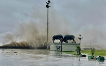 Các tàu thuyền đã vào hết bờ; vùng biển Hải Phòng có sóng cao 2-3m