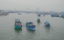 Tàu cá Gia Lai với 8 ngư dân mất liên lạc ngoài khơi