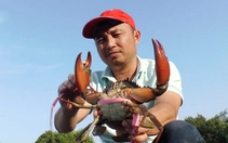 Định vị thương hiệu du lịch Cà Mau