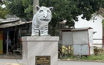Tượng hổ trắng ở Indonesia gây sốt vì ngoại hình... khó đỡ