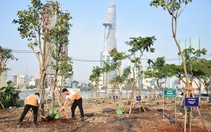Trồng hàng trăm cây xanh ở công viên bờ sông phía Thủ Thiêm mừng Ngày Cây xanh Việt Nam