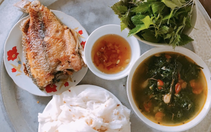 Có một mái ấm chờ trong tiếng gió mùa xuân