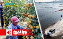 Điểm tin 8h: Thủ phủ quất cảnh Hội An vào vụ Tết; Đại dương hấp thụ lượng nhiệt kỷ lục
