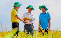 Phân bón Cà Mau tự tạo động lực tăng trưởng bền vững