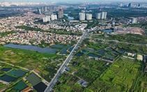 Chấm dứt những phiên đấu giá đất đảo điên