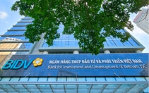 33 'đại gia' mua 264 triệu cổ phiếu BIDV là ai?