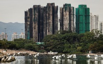 Bê bối cải tạo chung cư ở Hong Kong: có hối lộ, có xã hội đen