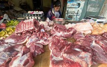 Dự báo giá heo hơi dịp Tết khoảng 70.000-75.000 đồng/kg, cao hơn nhiều nước trong khu vực
