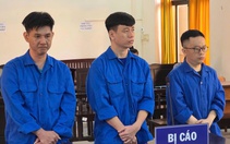 Lừa đảo chiếm đoạt 8 tỉ đồng, nhân viên một ngân hàng ở Phú Quốc cùng 2 đồng phạm lãnh án tù