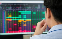 VN-Index lùi bước giữa sắc xanh áp đảo, cổ phiếu bất động sản bứt phá