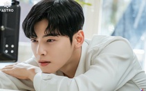 'Thiên tài gương mặt' Cha Eun Woo trốn thuế 20 tỉ won?