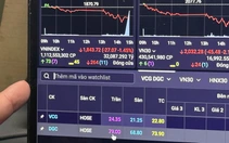 Vì sao cổ phiếu Vinaconex và Hóa chất Đức Giang cùng nằm sàn phiên 26-1?