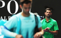 Suýt xách vali về nhà, may mắn níu Djokovic ở lại Úc mở rộng 2026