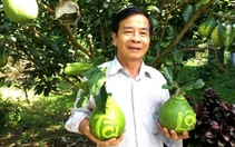 Nhà vườn miền Tây chuẩn bị trái cây tạo hình, in chữ bán Tết
