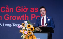Kinh nghiệm quốc tế mở lối phát triển bền vững cho Cần Giờ