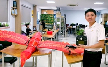 Sinh viên làm rồng phượng bay trong đêm giao thừa ở Đồng Nai